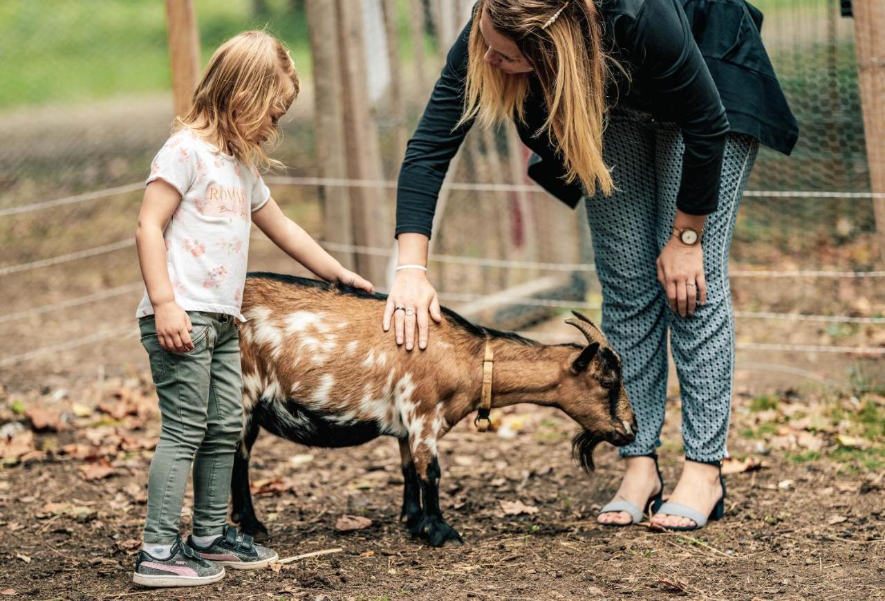 Camping De L'Orangerie De Lanniron Quimper Eksteriør bilde